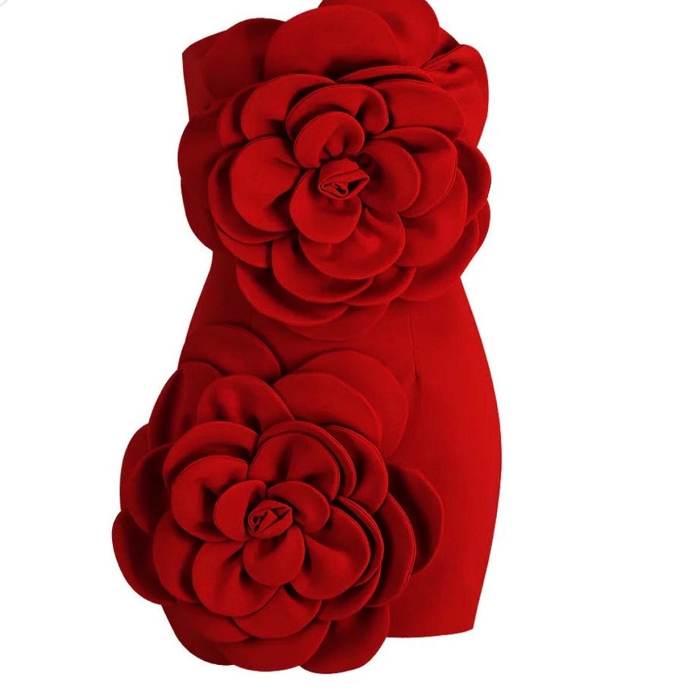 Sierra Darrien  dress